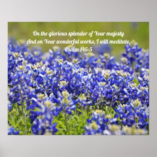 Poster Bluebonnet Flowers Scripting (Voorkant)