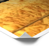 Poster Bluegrass Instruments (Hoek)