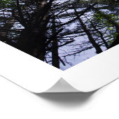 Poster bomen in een bos. (Hoek)