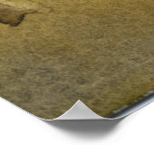 poster "Bomen in veld #1" Landschap (Hoek)