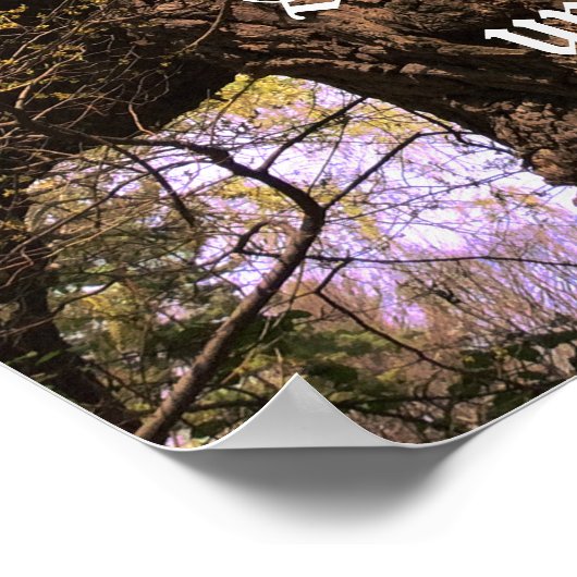 Poster - Bomen van Wisdom met Citaat Ent (Hoek)