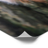 Poster boomeekhoorn (Hoek)