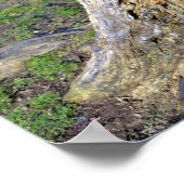 Poster boomstam (Hoek)