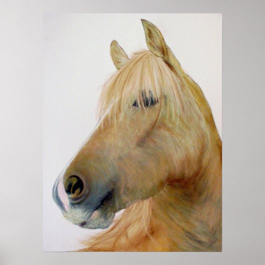poster "Boris" Fineart Horse (Voorkant)