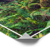 Poster-bos Poster (Hoek)