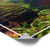 Poster-bos Poster (Hoek)