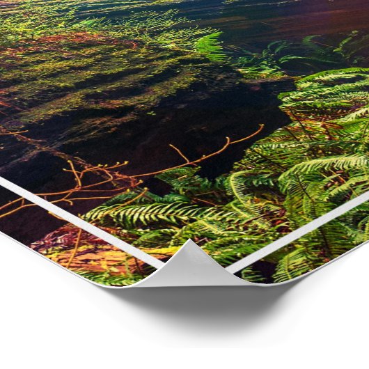 Poster-bos Poster (Hoek)