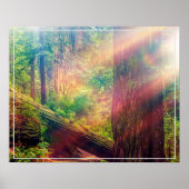 Poster-bos Poster (Voorkant)