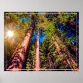 Poster-bos Poster (Voorkant)