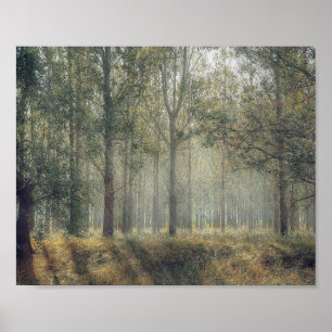 Poster bos van bomen