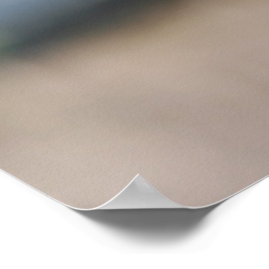 poster bosbessen (Hoek)