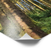 Poster bosbomen (Hoek)