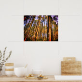 Poster bosbomen (Keuken)