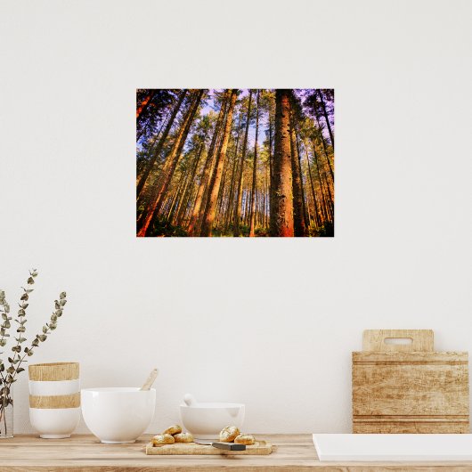 Poster bosbomen (Keuken)