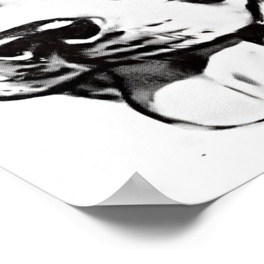 Poster Boston Terrier (Hoek)