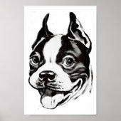 Poster Boston Terrier (Voorkant)