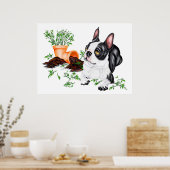 Poster Boston Terrier Naughty Pup (Keuken)