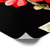 Poster-Botanical Art-Mary Delany 10 Poster (Hoek)