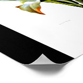 Poster-Botanicals-Pierre Joseph Redoute 15 Poster (Hoek)