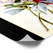 Poster-Botanicals-Pierre Joseph Redoute 16 Poster (Hoek)