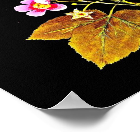 Poster-Botanische Art-Mary Delany 4 Poster (Hoek)