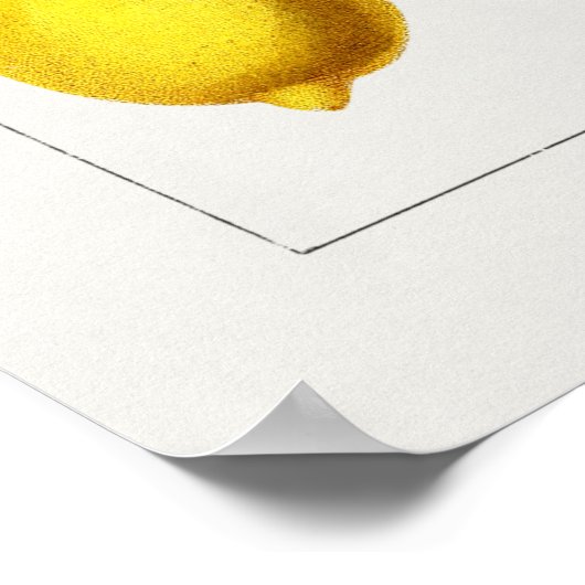  Poster Botanische illustratie (Hoek)