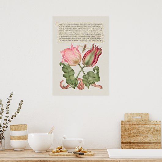 Poster Botanische illustratie (Keuken)