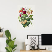 Poster Botanische illustratie (Thuiskantoor)