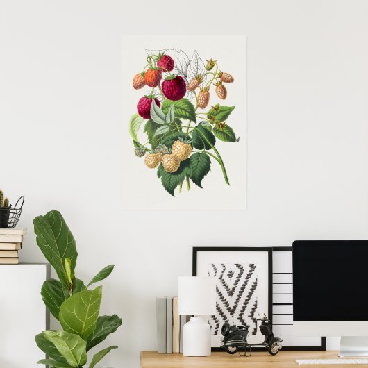  Poster Botanische illustratie (Thuiskantoor)