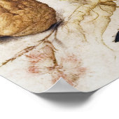  Poster Botanische illustratie (Hoek)