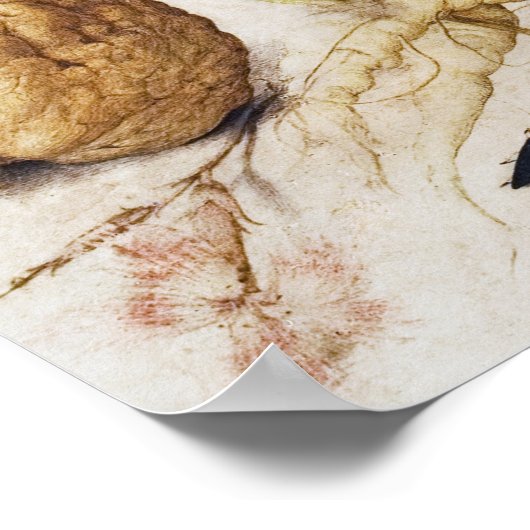  Poster Botanische illustratie (Hoek)