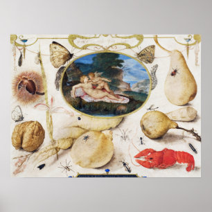  Poster Botanische illustratie