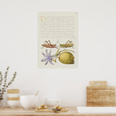  Poster Botanische illustratie (Keuken)