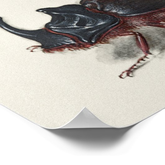  Poster Botanische illustratie (Hoek)