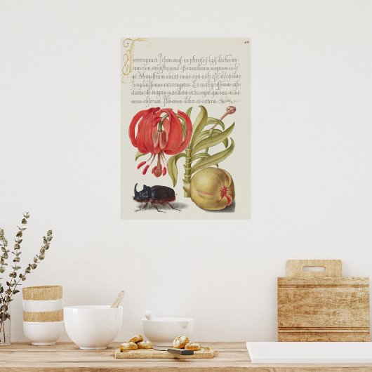 Poster Botanische illustratie (Keuken)