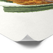  Poster Botanische illustratie (Hoek)