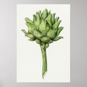  Poster Botanische illustratie