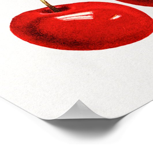  Poster Botanische illustratie (Hoek)