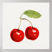  Poster Botanische illustratie (Voorkant)