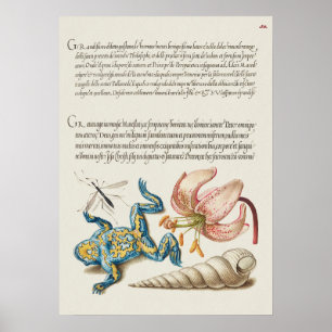 Poster Botanische illustratie