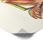  Poster Botanische illustratie (Hoek)