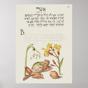  Poster Botanische illustratie