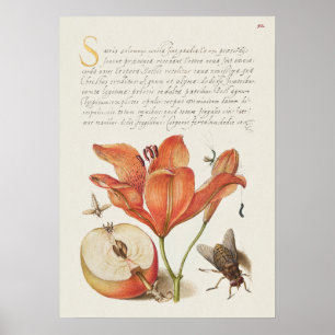  Poster Botanische illustratie