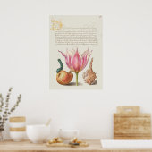  Poster Botanische illustratie (Keuken)