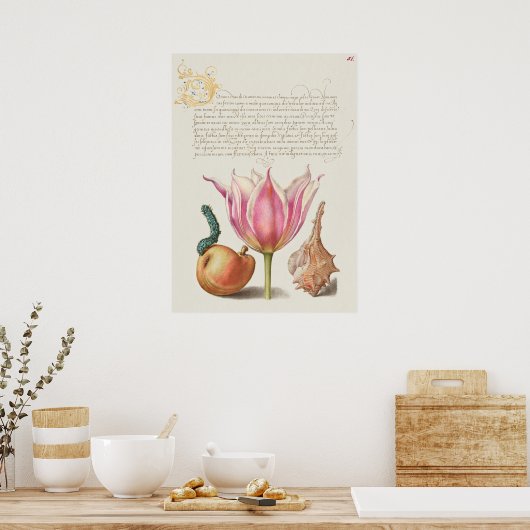 Poster Botanische illustratie (Keuken)