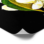 Poster-Botanische Kunst-Mary Delany 1 Poster (Hoek)