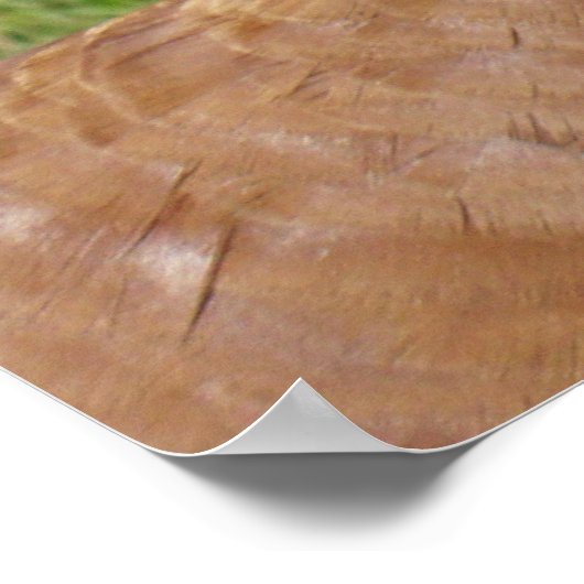 Poster Bourbon Red Turkey (Hoek)