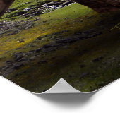 Poster ~ Brachiosaurus Aangevallen door velocirapt (Hoek)