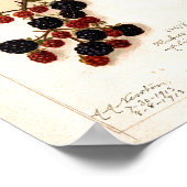 Poster -  bramen (Hoek)