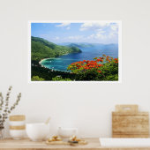 Poster Britse Maagdeneilanden (Keuken)